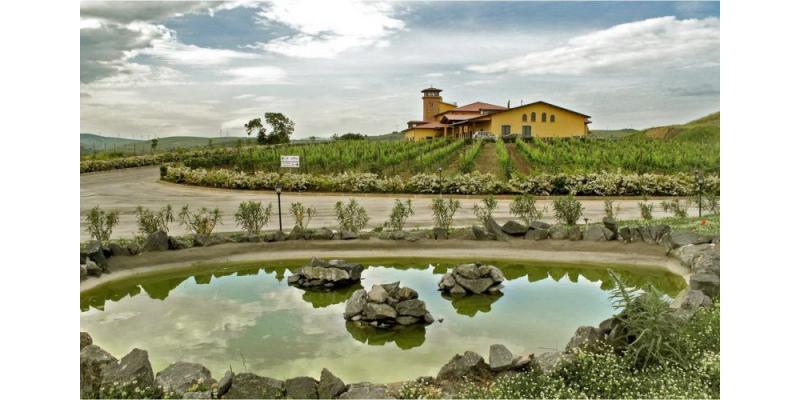 Cantine del Notaio