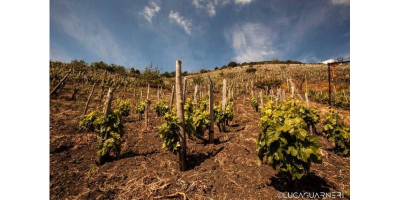 Cantine di Nessuno