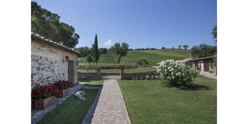 Carpineto - Particolari della Tenuta di Montalcino