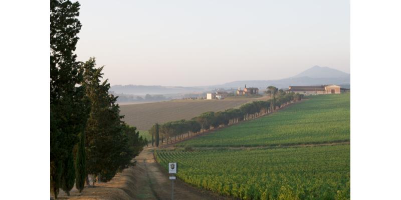 Carpineto - Tenuta di Montepulciano