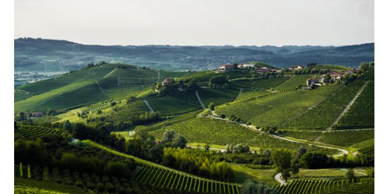 Cascina Bruciata