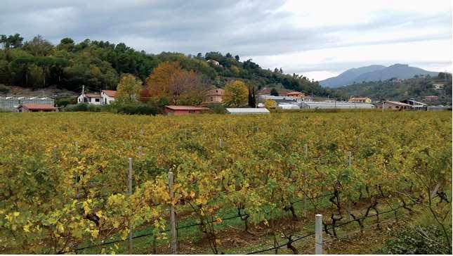 Cascina Feipu Dei Massaretti