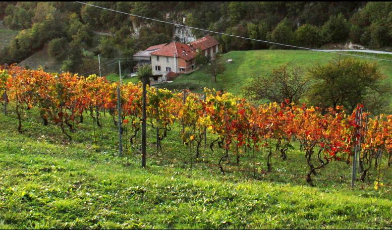 Cascina Roccabianca