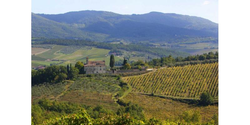 Castelli del Grevepesa