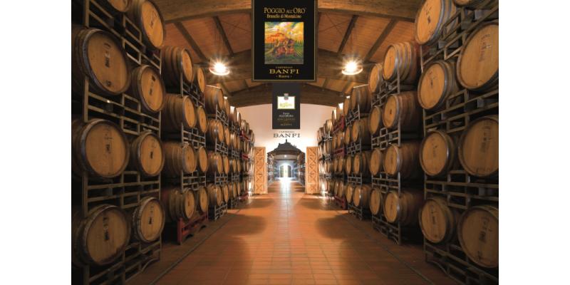 Castello Banfi - La barriccaia