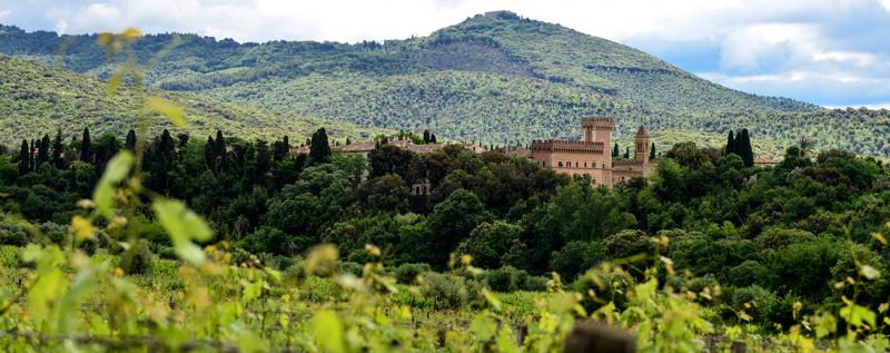 Castello di Bolgheri