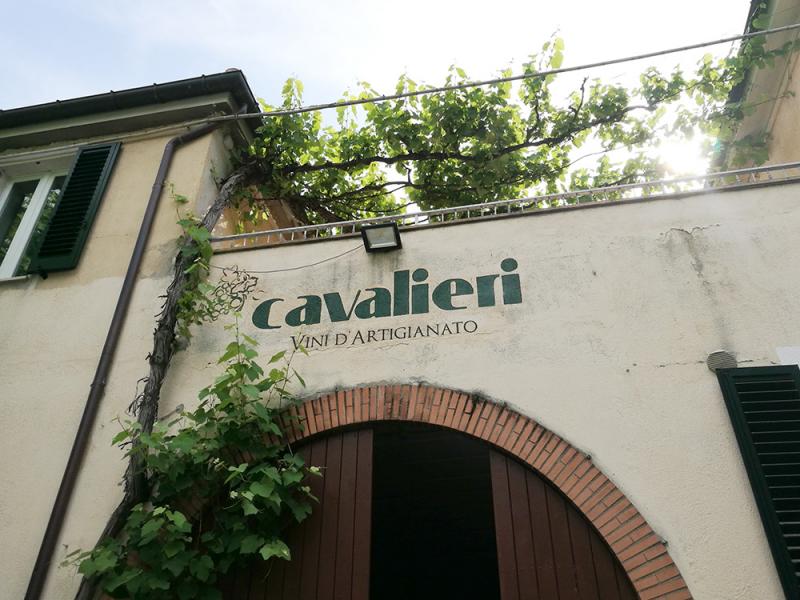 Cavalieri