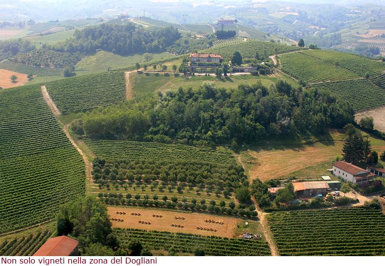 Clavesana