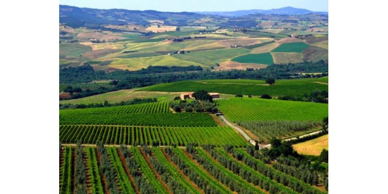 Col d'Orcia