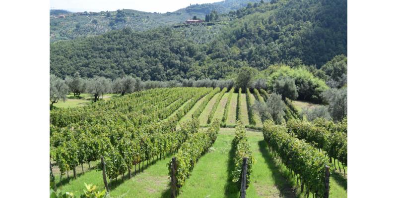 Colline San Biagio