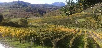 Colline di Affile