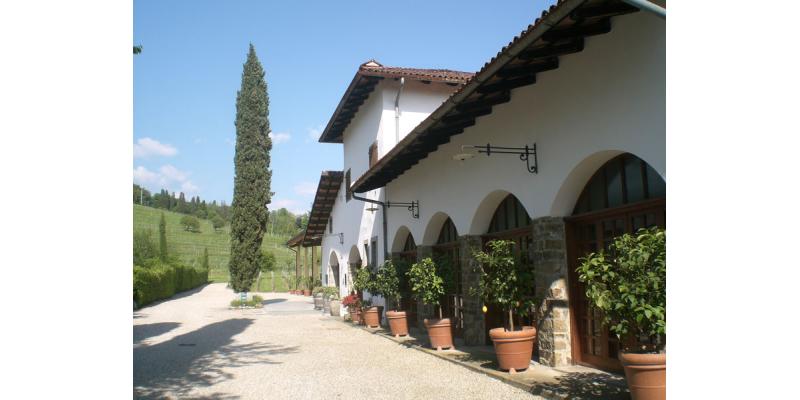 Colutta