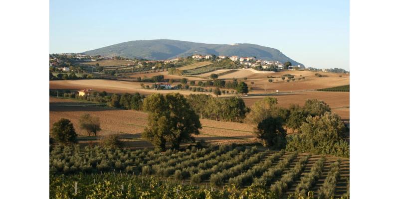 Conte Leopardi Dittajuti