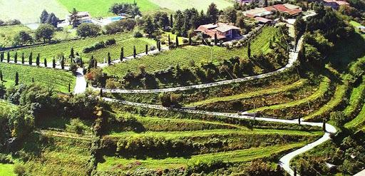 Coronea