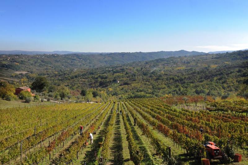 De Gaeta vini Cantina Castelvetere Sul Calore (Avellino) Hello Taste De Gaeta vini Cantina Castelvetere Sul Calore (Avellino) Hello Taste