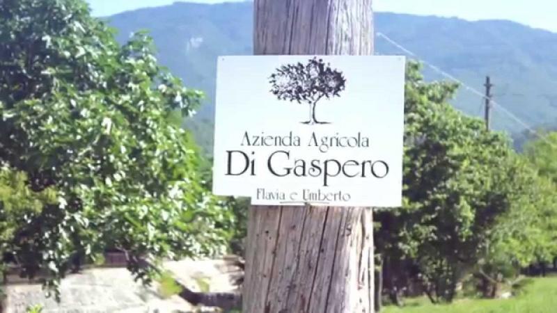 Di Gaspero