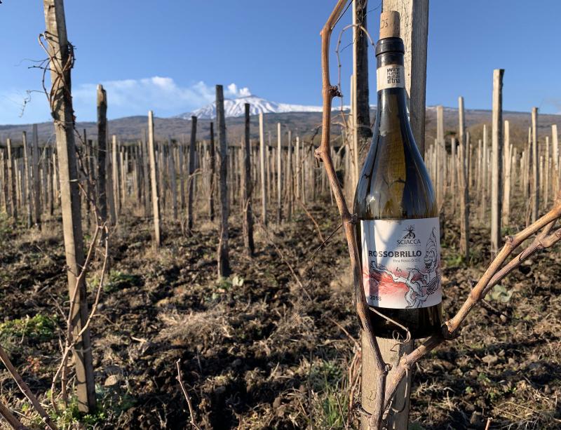 Emilio Sciacca Etna Wine