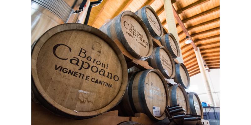 Tenuta dei Baroni Capoano