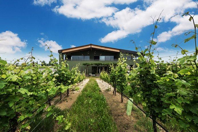 Famiglia Olivini