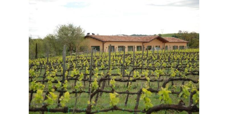 Fattoria Acquaviva