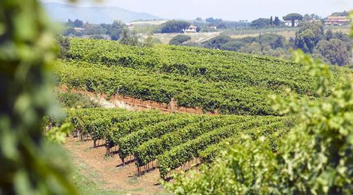 Fattoria Casa Di Terra