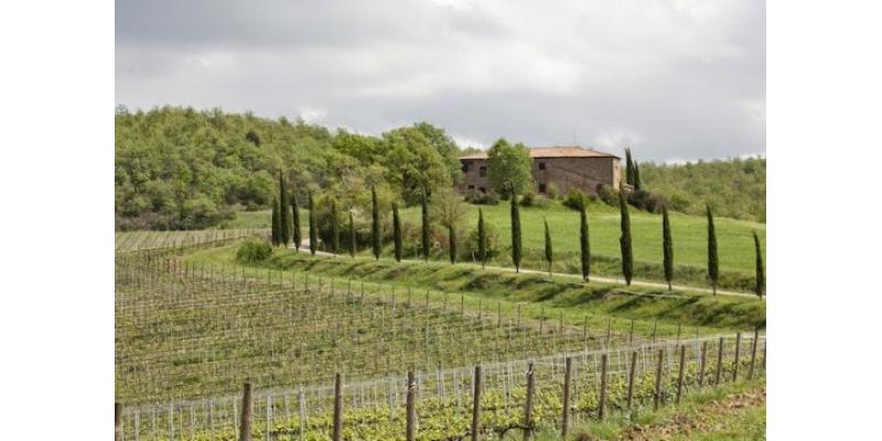 Fattoria Casabianca