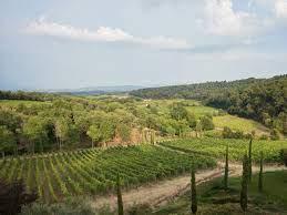 Fattoria Di Caspri