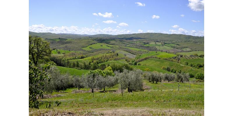 Fattoria La Maliosa