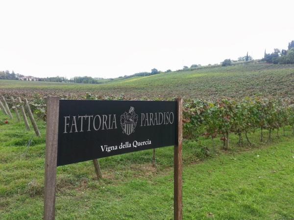 Fattoria Paradiso