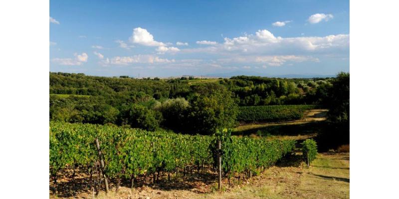 Fattoria San Giusto a Rentennano