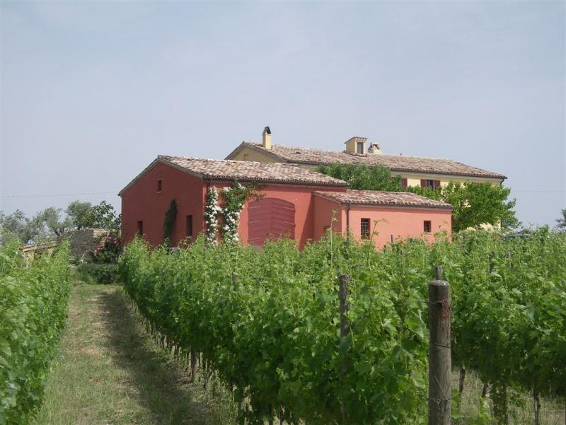 Fattoria Serra San Martino