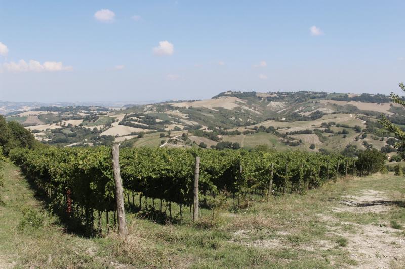 Fattoria Villa Ligi