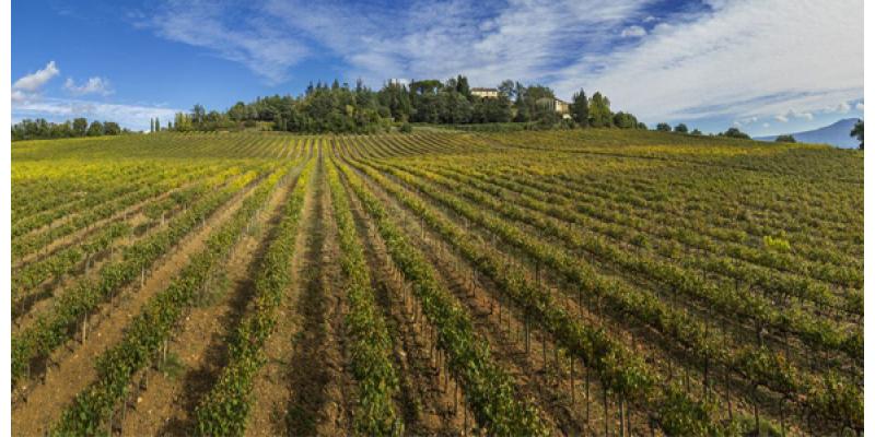 Fattoria dei Barbi