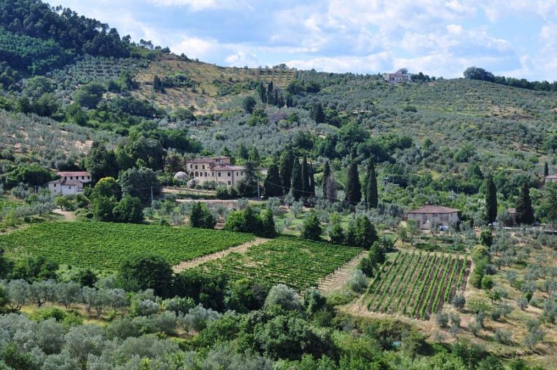 Fattoria di Bacchereto