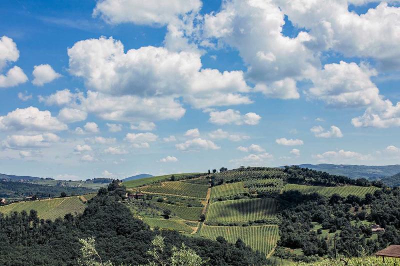 Fattoria di Rignana