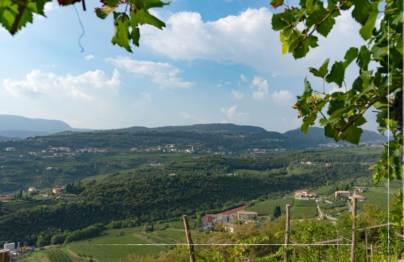 Franchini