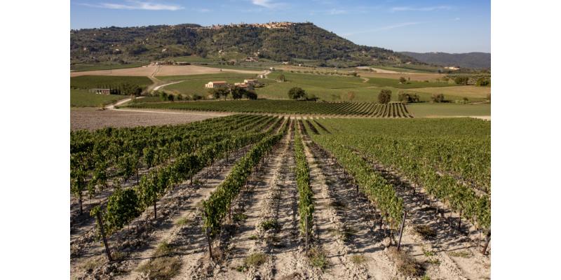 Franco Pacenti – Canalicchio