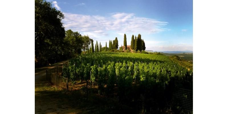 Il Carnasciale