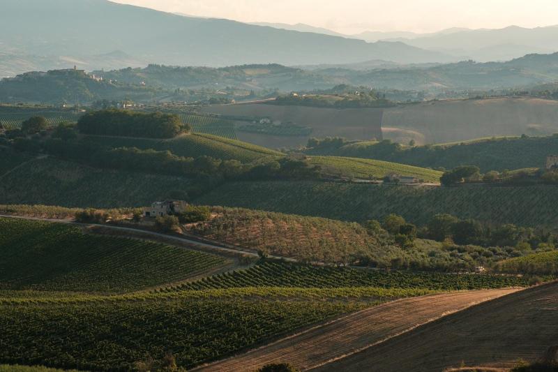 Il Conte Villa Prandone
