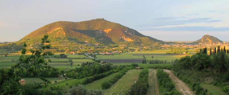 Il Filò delle Vigne