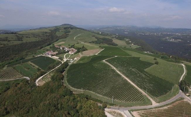 La Collina dei Ciliegi