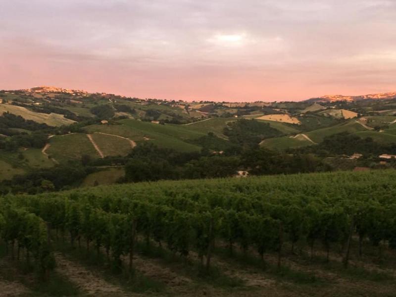 La Marca di S.Michele