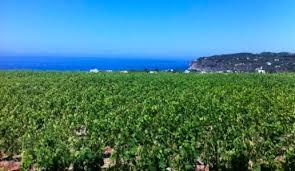 La Pietra di Tommasone