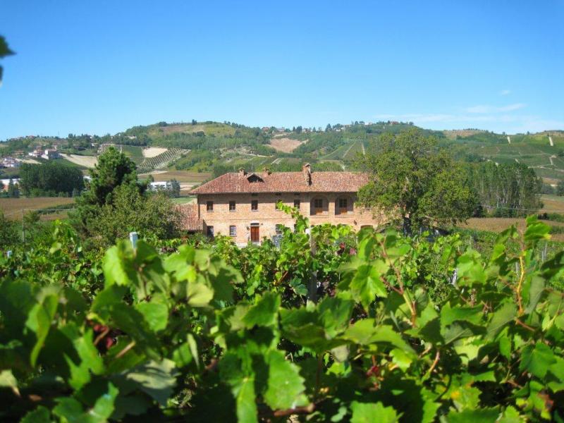 La vini Cantina Montegrosso D'asti (Asti) Hello Taste