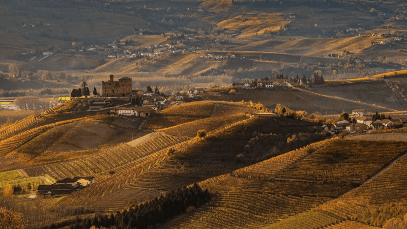 Le Ginestre