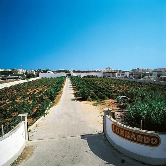 Cantine Lombardo