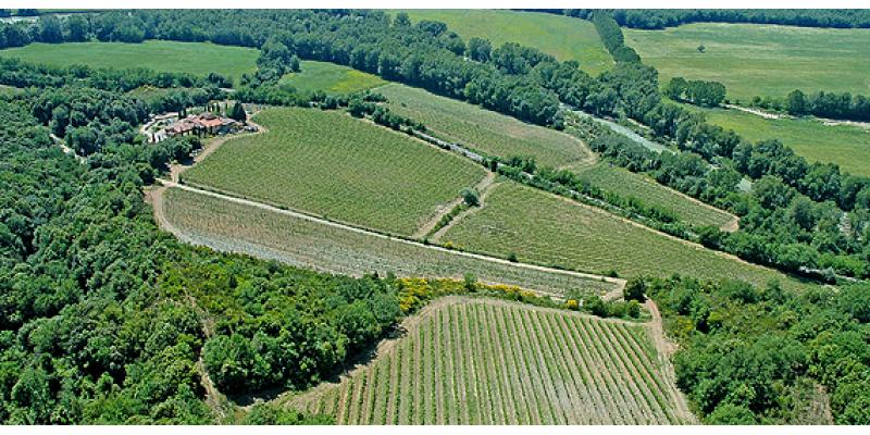 Marchesato degli Aleramici