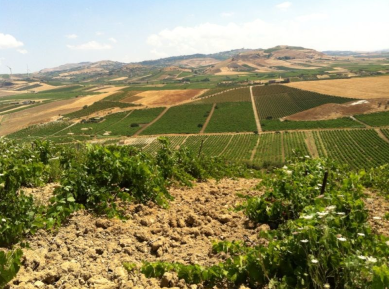 Marchesi di Rampingallo
