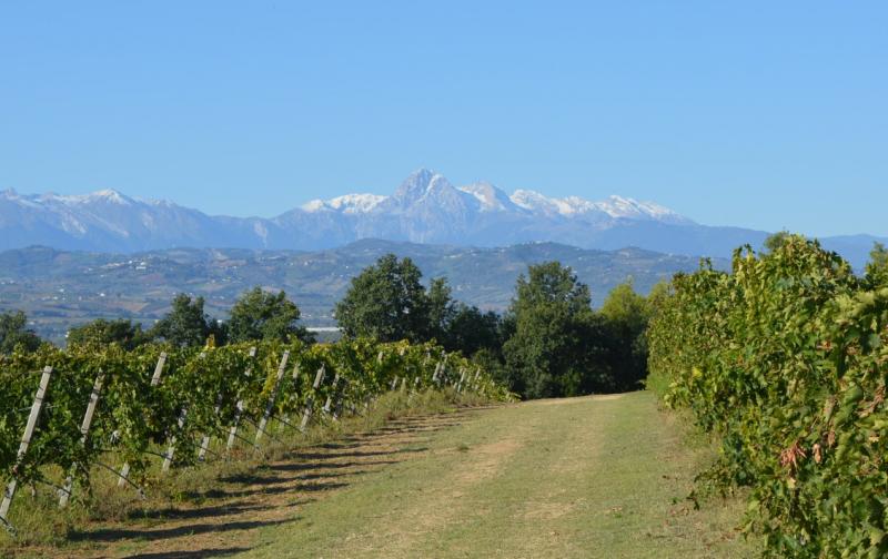 Mazzarosa