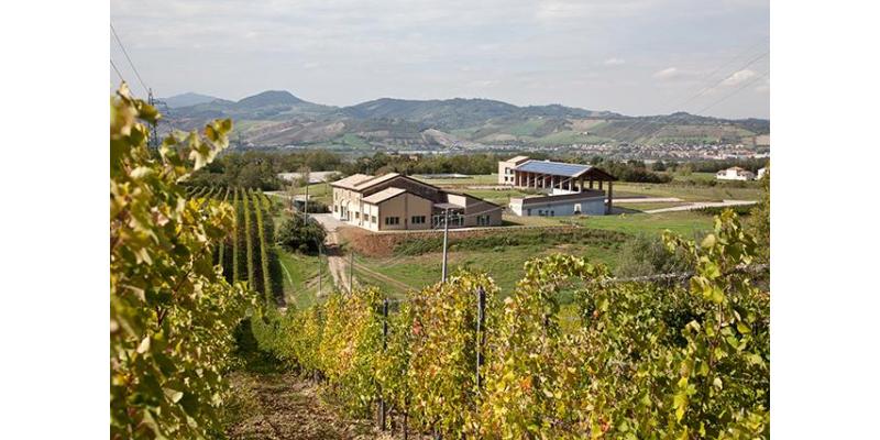 Monte delle Vigne